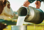 Improving dairy production for a sustainable future - YINI