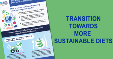 Transition towards a more sustainable healthy diet - infographic - YINI