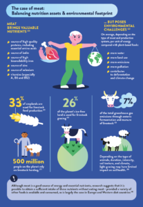 YINI Infographic about sustainable diets and meat reduction -part 2