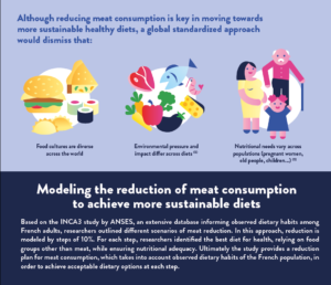 YINI Infographic about sustainable diets and meat reduction -part 3