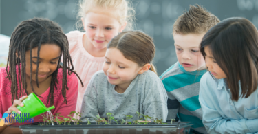 Back to school: how kids can lead the way to sustainable healthy eating - YINI