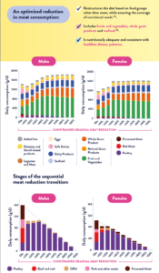 YINI Infographic about sustainable diets and meat reduction -part 24