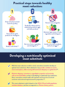 YINI Infographic about sustainable diets and meat reduction -part 6
