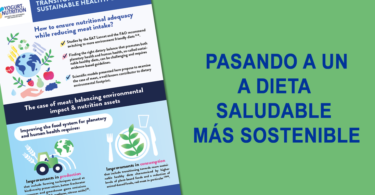 PASANDO A UNA DIETA SALUDABLE MÁS SOSTENIBLE - Infografia - YINI