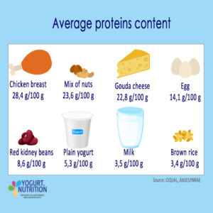 Average proteins content - YINI