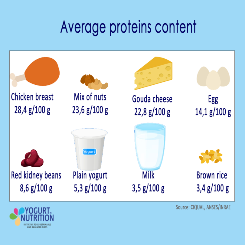 Focus on proteins Yogurt in Nutrition