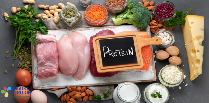 Focus on proteins and dairy proteins