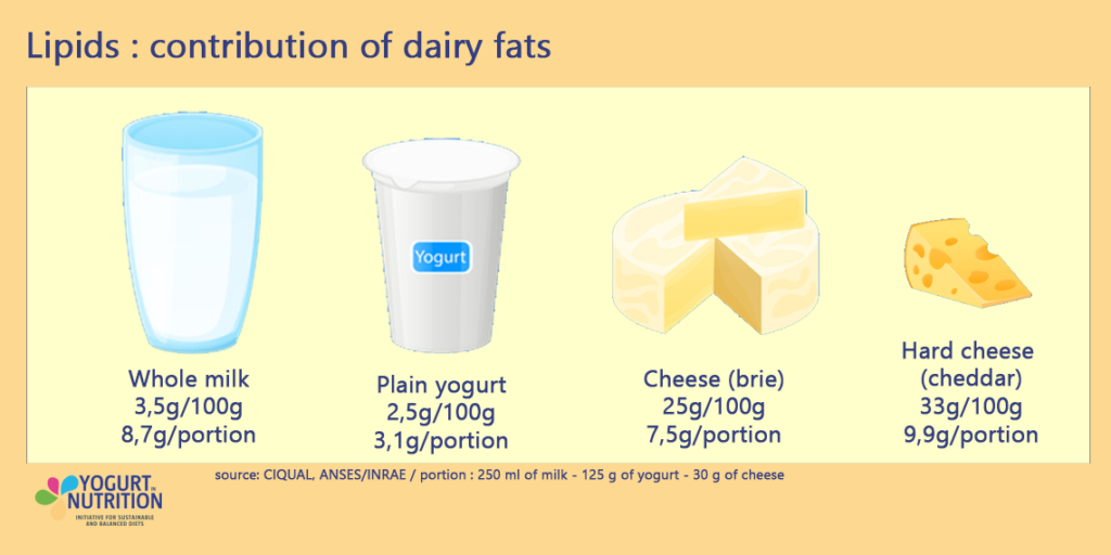 Average lipid content in dairy products