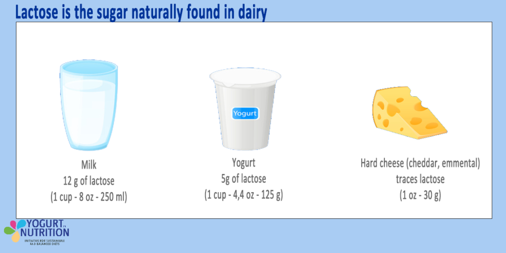 Lactose in dairy - YINI