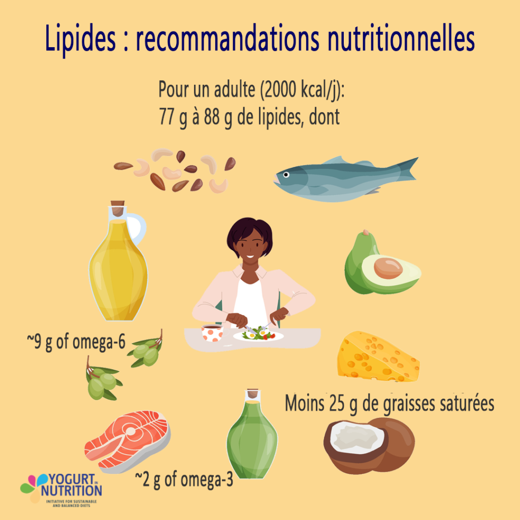 Lipides - recommandations nutritionnelles - YINI
