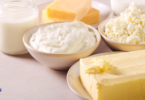 Focus on dairy lipids - YINI