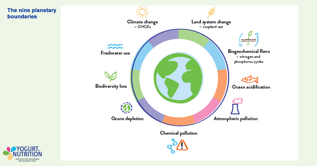 Yogurt Can Be A Part Of Sustainable Diets And Food Systems Yogurt In Yogurt Can Be A Part Of Sustainable Diets And Food Systems Yogurt In