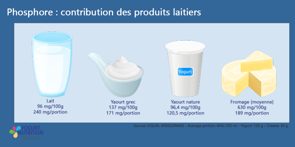 Le phosphore dans les produits laitiers - YINI