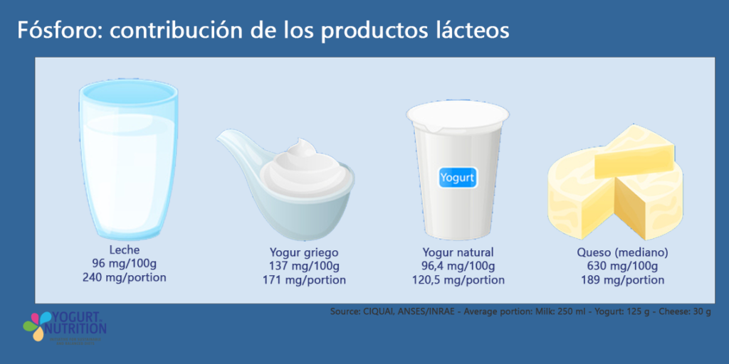 El fósforo en los lácteos - YINI