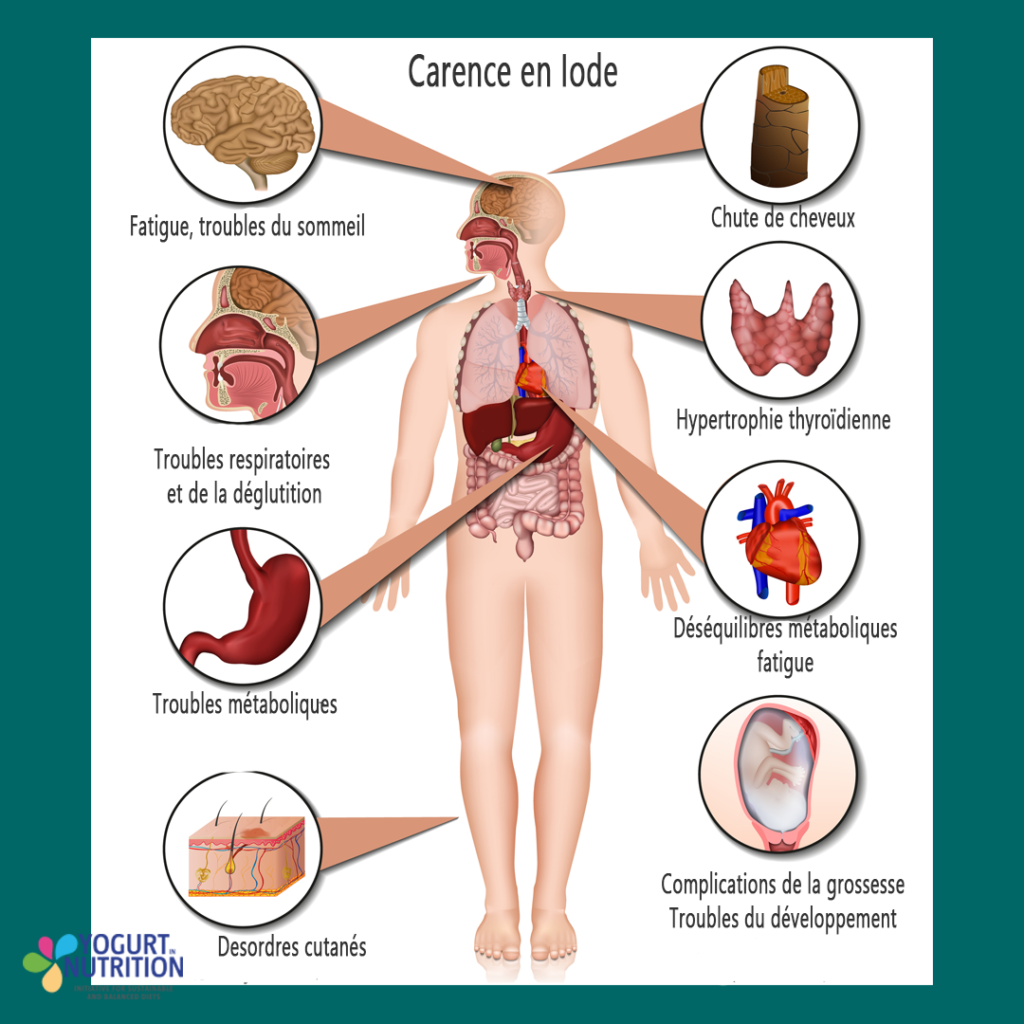 Roles de l'iode - YINI