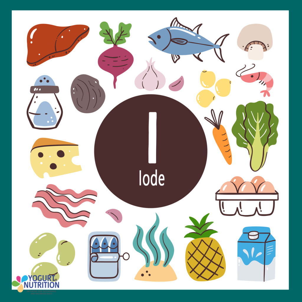 Sources alimentaires d'Iode - YINI