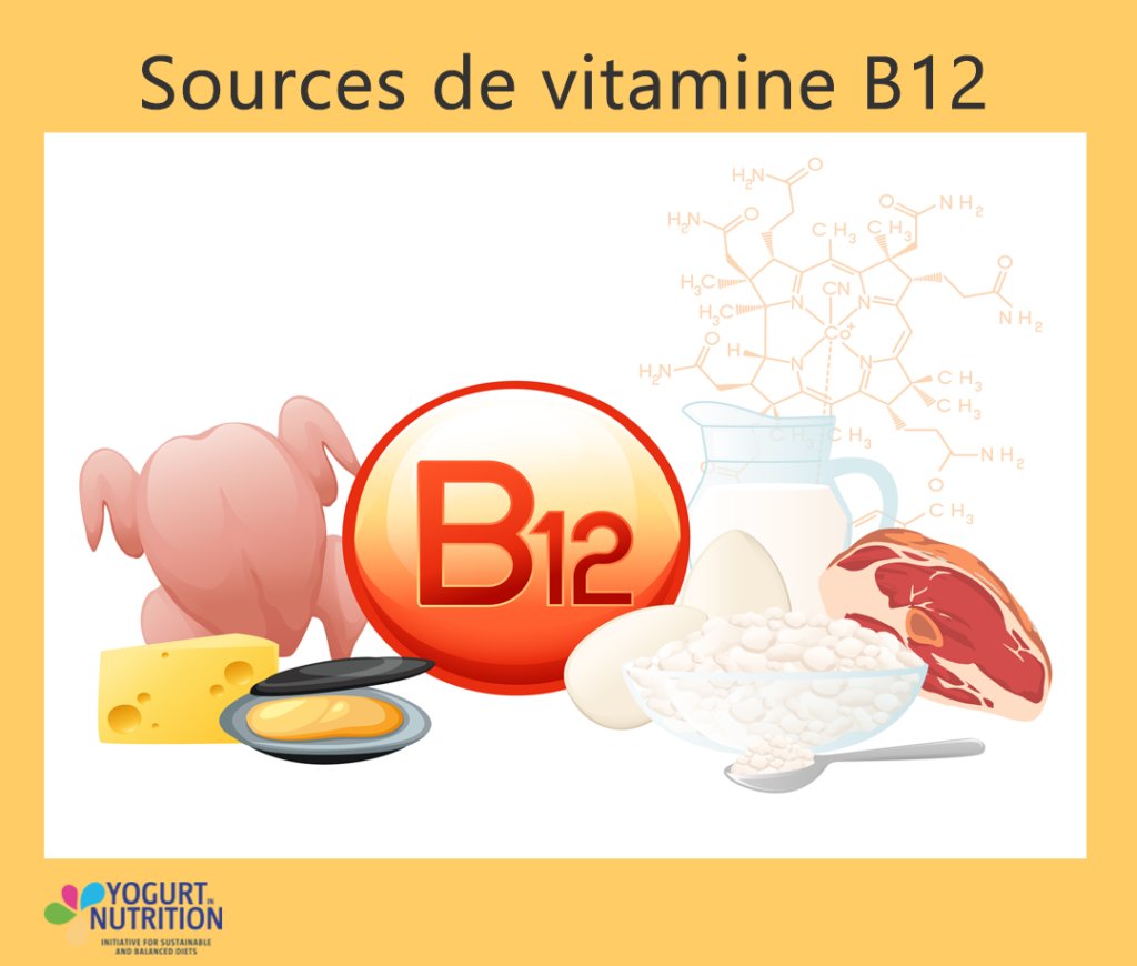 Sources alimentaires de vitamine B12- YINI