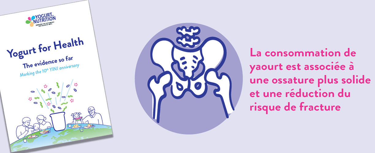 Le yaourt utile dans la solidité osseuse.