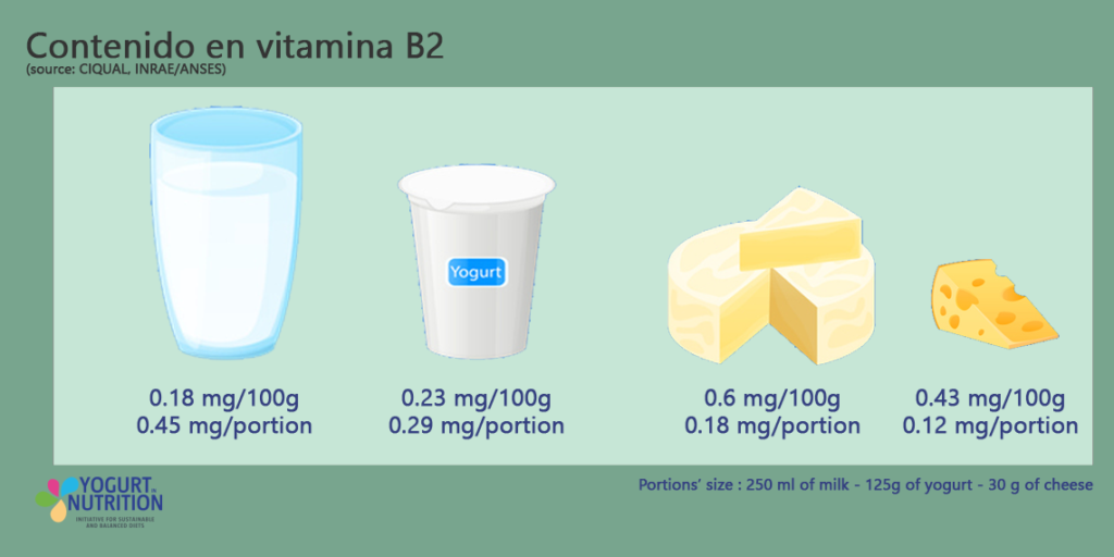 vitamina B2 - YINI