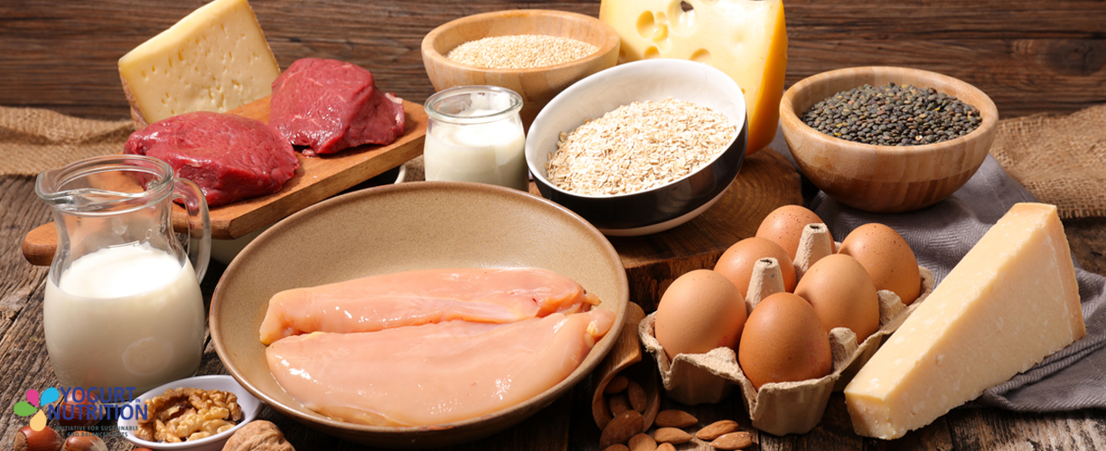 Could swapping meat with dairy products help protect heart health? - YINI