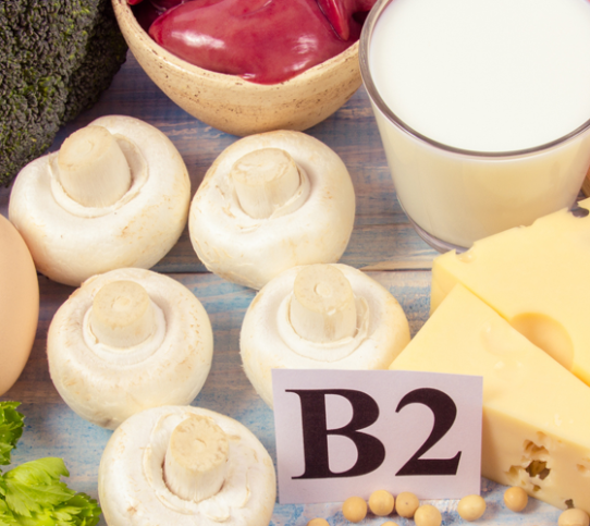 Focus on vitamin B2 - YINI