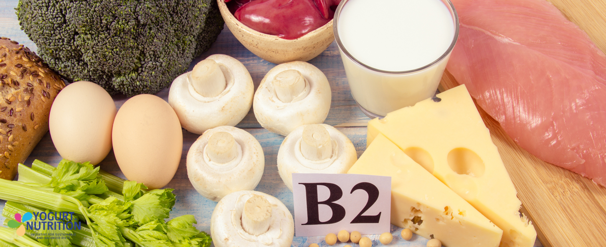 Focus on vitamin B2 - YINI