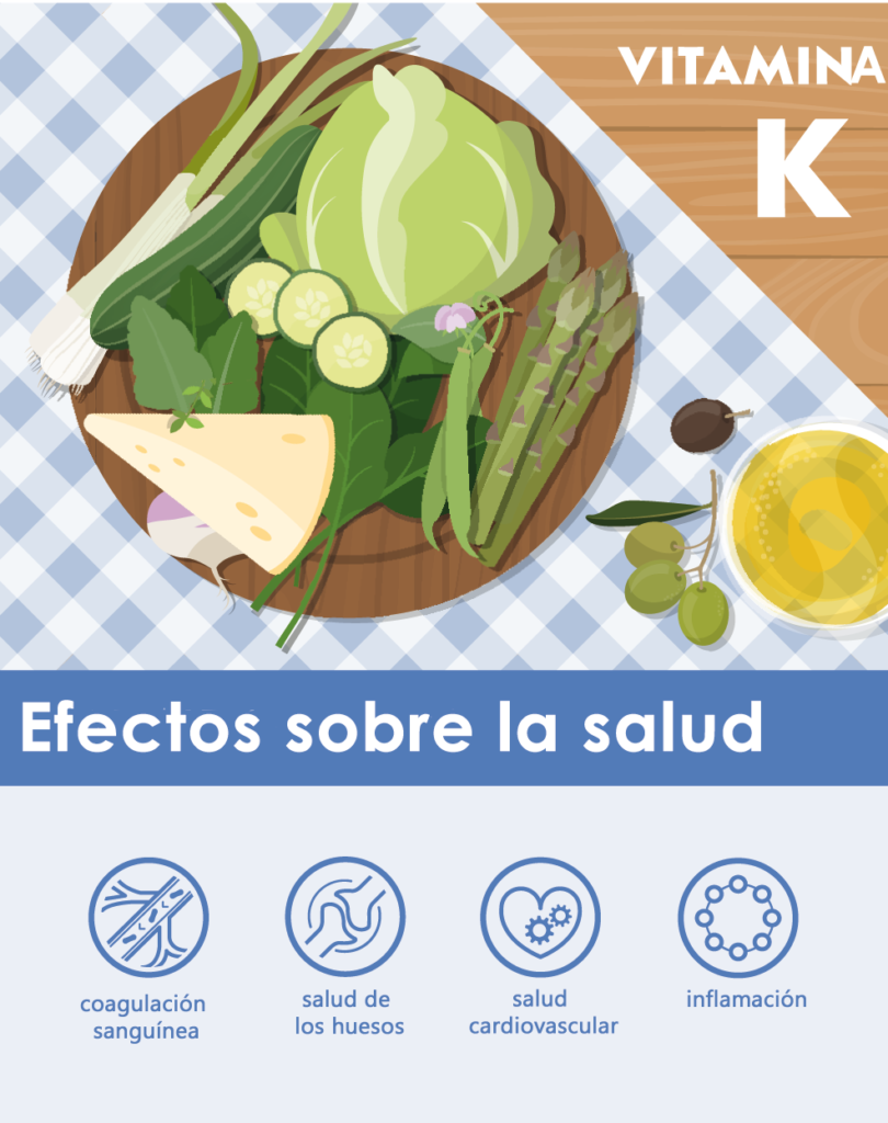 La vitamina K al detalle - YINI