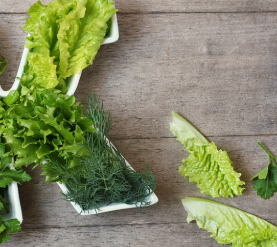 Focus on vitamin K - YINI