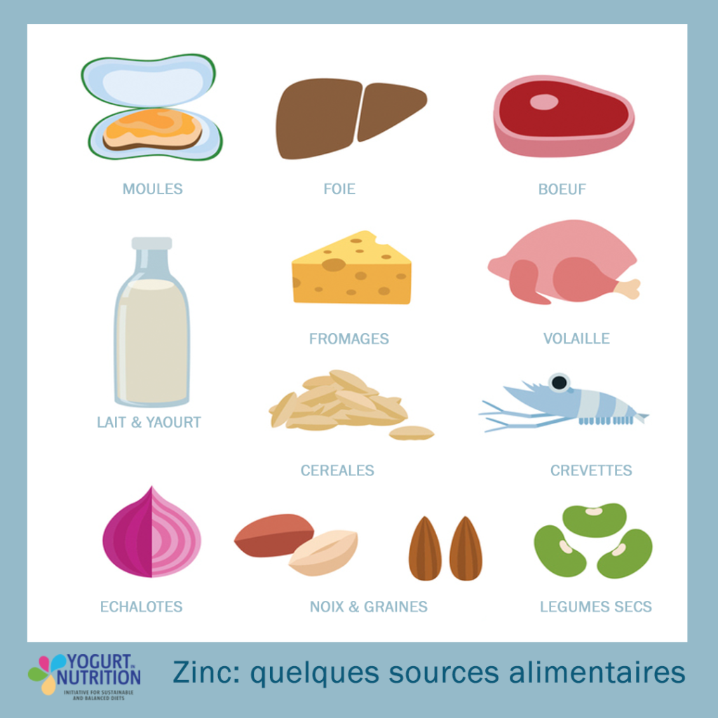 Zinc - sources alimentaires - YINI