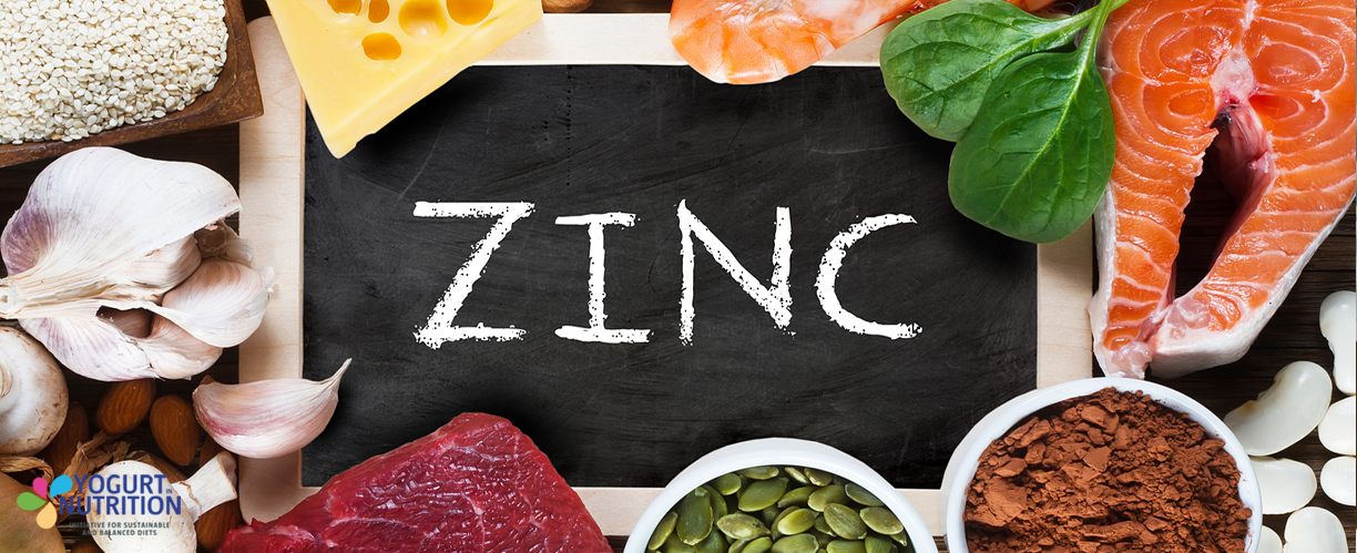 Focus on Zinc - YINI