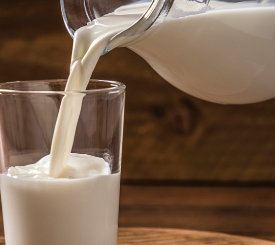 The secret life of dairy: Exploring the health potential of milk peptides - YINI