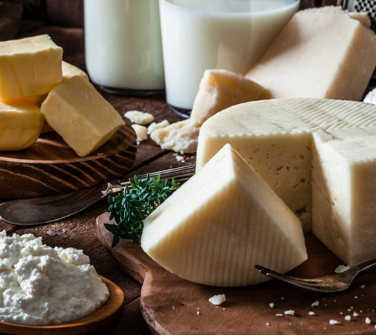 Experts call for dietary guidelines to reflect the protein power of dairy products - YINI