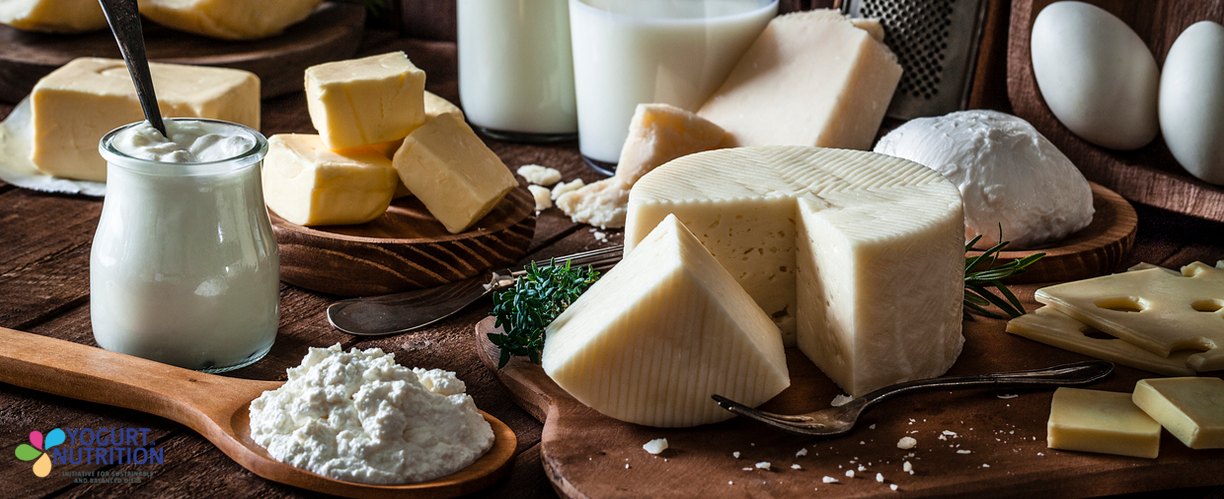 Experts call for dietary guidelines to reflect the protein power of dairy products - YINI