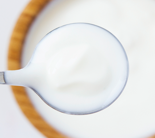 Focus on casein - YINI