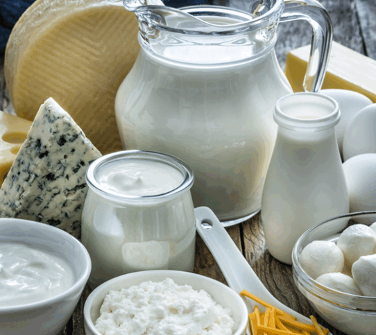 Milk matrix matters: why dairy deserves a place in plant-based diets - YINI